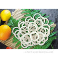 https://www.bossgoo.com/product-detail/frozen-seafood-fish-fillet-seafood-squid-63247465.html